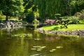 Summer japanese garden. Beautiful nature. City park Royalty Free Stock Photo