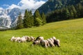 Jezersko, Slovenia mountain valley