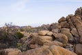 Summer in Joshua Tree,Ca