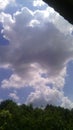 Summer. June. Nature. White clouds in the sky. Green forest and roof. Sunny day.