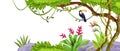 Summer jungle landscape frame, tropical tree, toucan, liana, green vegetation, paradise flowers, isolated.