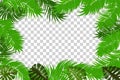 Summer jungle palm leaf frame Royalty Free Stock Photo