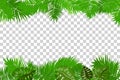 Summer jungle palm leaf frame Royalty Free Stock Photo