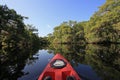 Summer kayaking in Fisheating Creek, Florida. Royalty Free Stock Photo