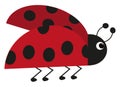 Summer ladybug, icon Royalty Free Stock Photo