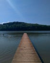 Summer lake swimming