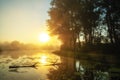 Sunrise on a summer lake