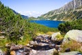 Summer in 5 lakes valley in High Tatra Mountains