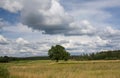 Summer land sky horizon