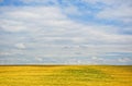 Summer landscape Royalty Free Stock Photo