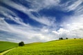 Summer landscape Royalty Free Stock Photo