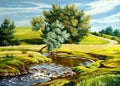 Summer landscape