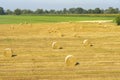 Summer landscape along the cycle path of the Po river, italy