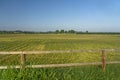 Summer landscape along the cycle path of the Po river, italy