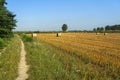 Summer landscape along the cycle path of the Po river, italy