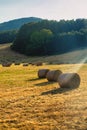 Summer landscape along the road to Camigliatello, Sila Royalty Free Stock Photo