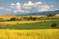 Summer landscape along the road to Camigliatello, Sila Royalty Free Stock Photo