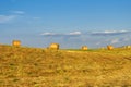 Summer landscape along the road to Camigliatello, Sila Royalty Free Stock Photo