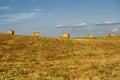 Summer landscape along the road to Camigliatello, Sila Royalty Free Stock Photo