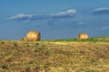 Summer landscape along the road to Camigliatello, Sila Royalty Free Stock Photo