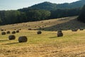 Summer landscape along the road to Camigliatello, Sila Royalty Free Stock Photo