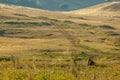 Summer landscape with animal marmot, a heavily built, gregarious, burrowing rodent of both Eurasia and North America, typically Royalty Free Stock Photo