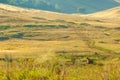 Summer landscape with animal marmot, a heavily built, gregarious, burrowing rodent of both Eurasia and North America, typically Royalty Free Stock Photo