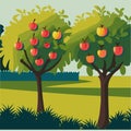 summer landscape apple orchard grden with apple trees Vector illustration 10 eps