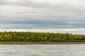 Summer landscape on the banks of the green river at sunset, Russia Royalty Free Stock Photo