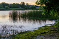 Summer landscape on the banks of the green river at sunset, Russia, Rostov region, Don Royalty Free Stock Photo