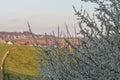 Summer landscape in bavaria