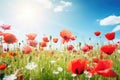 Summer landscape of beautiful red poppy flowers in meadow on blue sky background. Generative ai Royalty Free Stock Photo