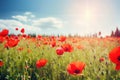 Summer landscape of beautiful red poppy flowers in meadow on blue sky background. Generative ai Royalty Free Stock Photo