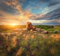 Summer landscape in the beautiful steppe at sunset