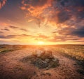 Summer landscape in the beautiful steppe at sunset