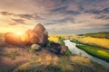 Summer landscape in the beautiful steppe at sunset