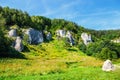 Summer landscape in Bedkowska Valley Royalty Free Stock Photo