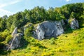 Summer landscape in Bedkowska Valley Royalty Free Stock Photo