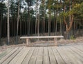 Summer landscape with bench in front of forest Royalty Free Stock Photo