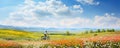 Summer landscape with bicycle and meadows full of flowers. Holiday sunshine banner