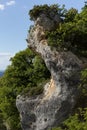 Summer landscape with bizarre weathering grey cliff overgrown lush green trees, plants, lichens in bright sunny summer day. Royalty Free Stock Photo