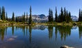 Summer landscape of Blackcomb Mountain