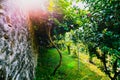 Summer landscape with blooming trees in garden near old stone wall. Royalty Free Stock Photo