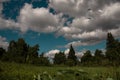 Summer landscape with blue sky and white clouds meadow and forest