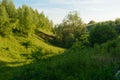 Summer landscape with bright greens and trees