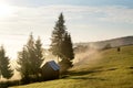 Summer landscape in Bucovina Royalty Free Stock Photo