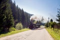 Summer landscape in Bucovina Royalty Free Stock Photo