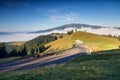 Summer landscape in Bucovina Royalty Free Stock Photo