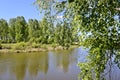 Summer landscape - A calm flat river among fields and birch groves under a blue sky. Royalty Free Stock Photo