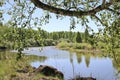 Summer landscape - A calm flat river among fields and birch groves under a blue sky. Royalty Free Stock Photo